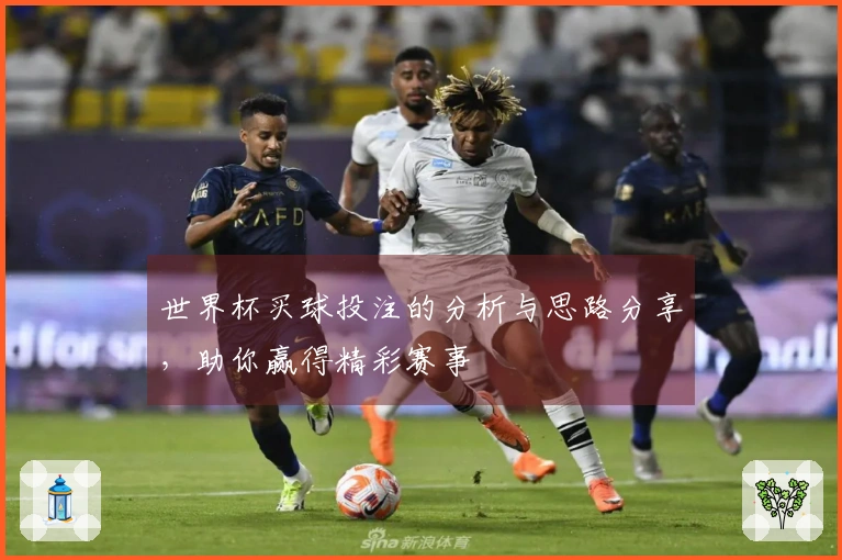 世界杯买球投注的分析与思路分享，助你赢得精彩赛事