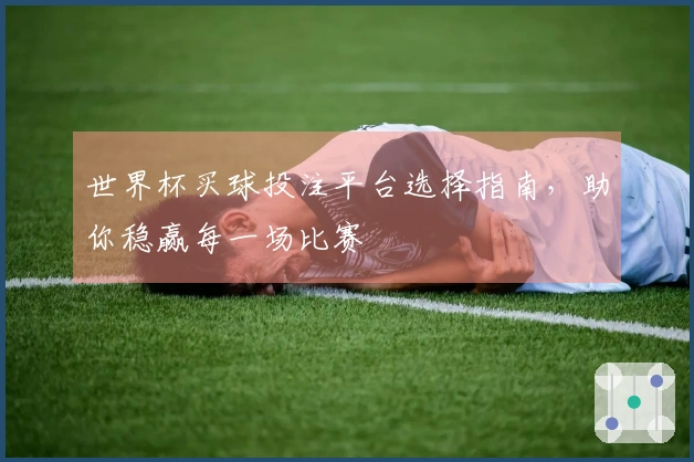 世界杯买球投注平台选择指南，助你稳赢每一场比赛