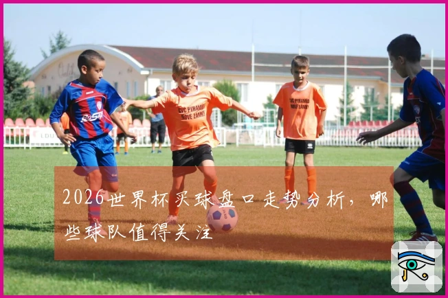 2026世界杯买球盘口走势分析，哪些球队值得关注