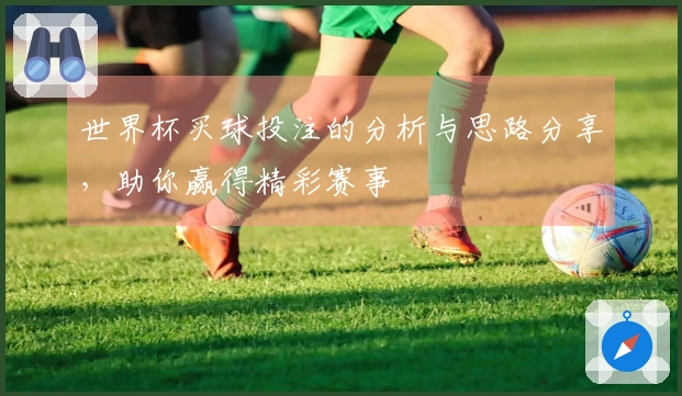 世界杯买球投注的分析与思路分享，助你赢得精彩赛事