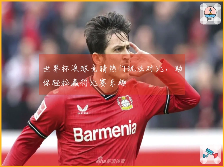 世界杯滚球竞猜热门玩法对比，助你轻松赢得比赛乐趣