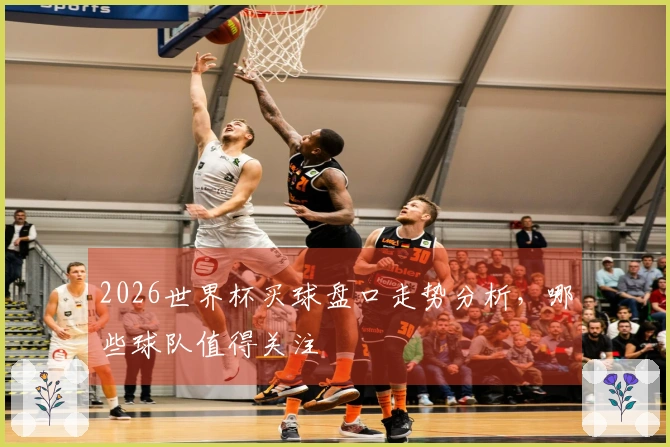 2026世界杯买球盘口走势分析，哪些球队值得关注