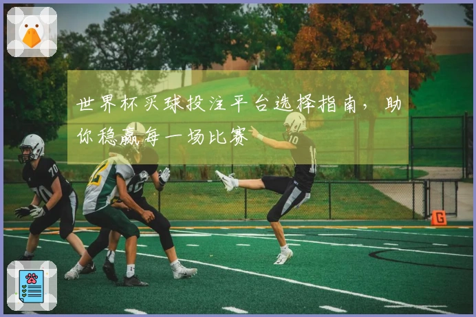 世界杯买球投注平台选择指南，助你稳赢每一场比赛